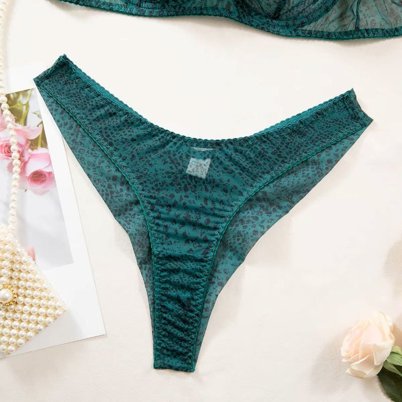 2pcs/Set Woman Lingerie Gather - đánh giá và giá Sheer Mesh Bra